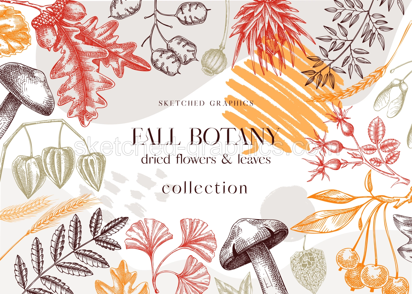Autumn collage with fall leaves and dried flowers. Thanksgiving background. Fall card or invitation. Sketched dried flowers, falling leaves, mushrooms, seeds frame. Colorful botanical illustration Illustration